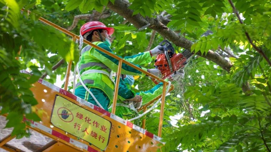 项城市建业城三期绿化工程