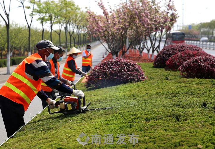 香港为何重视绿化工程建设