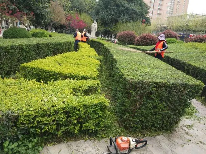 园林管理岗位面试问题揭秘：请简要介绍您在园林设计和维护方面的经验。